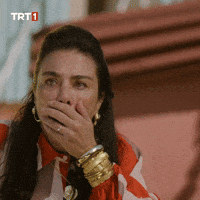 Aaa Omg GIF by TRT
