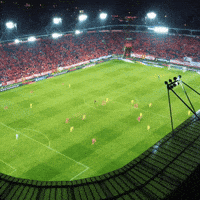 Football Rts GIF by Widzew Łódź
