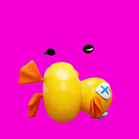 Sleep Duck GIF
