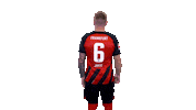 Sticker by Eintracht Frankfurt