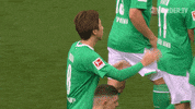 Football Soccer GIF by SV Werder Bremen