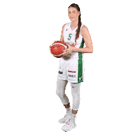 Basketball Sticker by Zabiny Brno