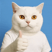 Lyle Cat GIF