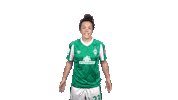 Stephanie Werderfrauen Sticker by SV Werder Bremen
