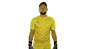 Ceskarepre Tudy Ne Sticker by 2score
