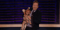 Dogs Conan Obrien GIF by Team Coco