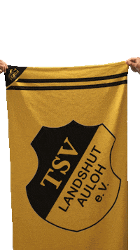 Happy Football Sticker by TSV Landshut-Auloh e.V.