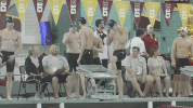 GIF by Michigan Athletics