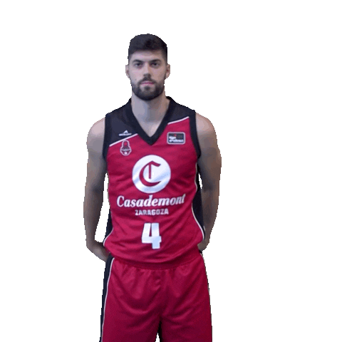 Liga Endesa Sport Sticker by ACB