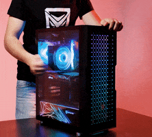 Gamer Pc Gaming GIF by Nfortec