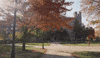 Isu Ilstu GIF by Illinois State University