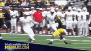 GIF by Michigan Athletics