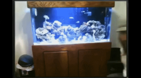 yj_jane giphygifmaker GIF