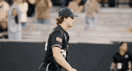 Baseball Win GIF by UCF Knights