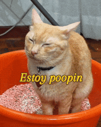 Poop Pooping GIF