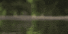 indian skipper frog GIF by Head Like an Orange