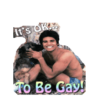 Gay Sticker by imoji