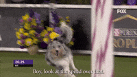 Boy Look At The Speed Over That