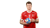 Handball Sg Sticker by EHF