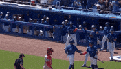 Home Run Baseball GIF by Toronto Blue Jays
