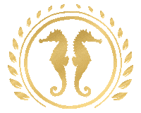 Kasematten seahorse sea horse seepferdchen kasematten Sticker