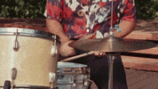 This Is Why GIF by Paramore