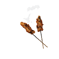 Instagram Eating Sticker by ONE APAC 2019