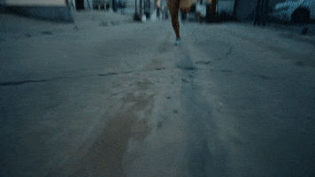 Oh Yeah Running GIF by Peloton