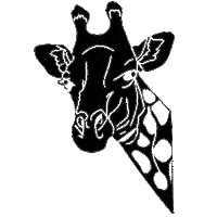 Zoo Giraffe Sticker by Saumurvaldeloire