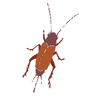 Garden Cricket Sticker