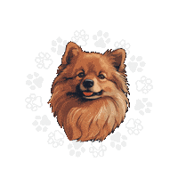 Love Dogs Lulu Sticker by Villa Pet Salvador