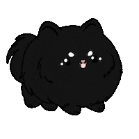 Dog Pomeranian Sticker