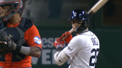 krahn23 giphygifmaker single tigers rbi GIF