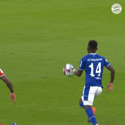 Champions League Wow GIF by FC Bayern Munich