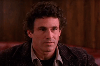 season 2 GIF by Twin Peaks on Showtime