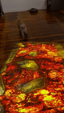 Cute Cat Interactive Floor GIF by LUMOplay