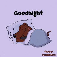 Dog Sleeping GIF by VeeFriends