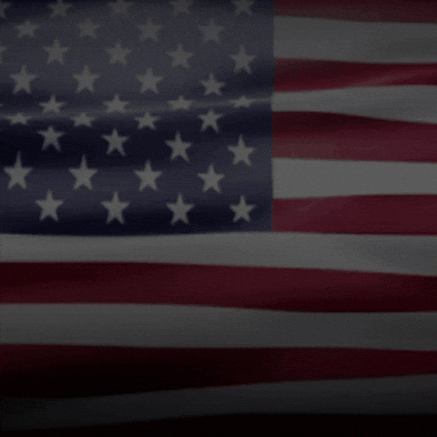 Usa Defend GIF by Standup Now Apparel