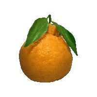Orange Sticker by suikanosato