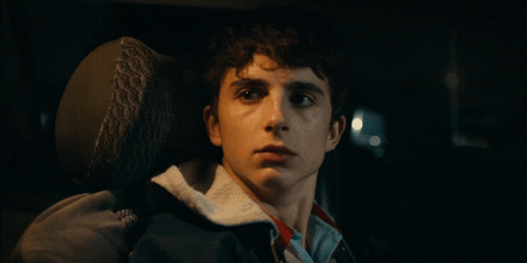 Interested Timothee Chalamet GIF by A24