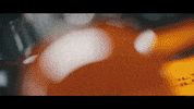 Crown Royal Whiskey GIF by BEARFACE Whisky
