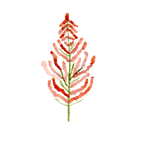 ovunquebycaro red nature pretty planta Sticker