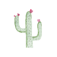 Pink Cactus Sticker