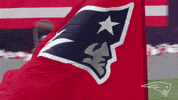 2018 Nfl Football GIF by New England Patriots