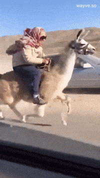 Mood Feels GIF by Darwin