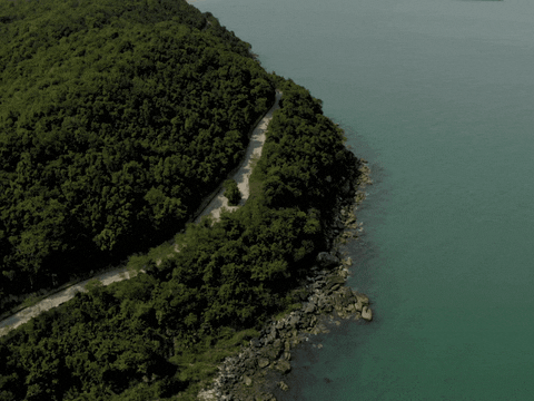 vivuphuquoc giphyupload vivuphuquoc du lịch phú quốc vi vu phú quốc GIF