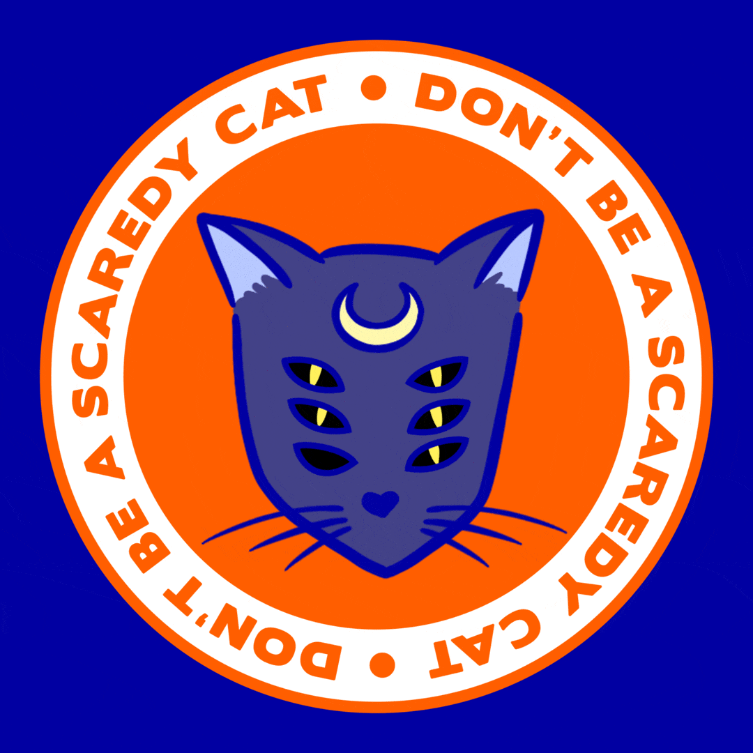 Trick Or Treat Cat GIF