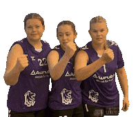 Lsv Sticker by Luener SV Handball