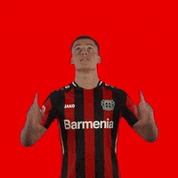 Swipe Up GIF by Bayer 04 Leverkusen