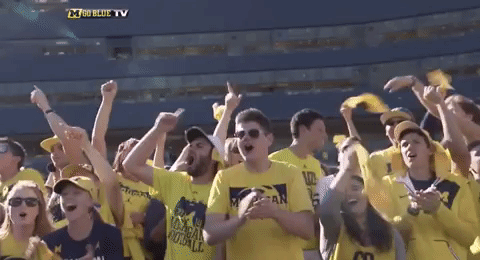 GIF by Michigan Athletics
